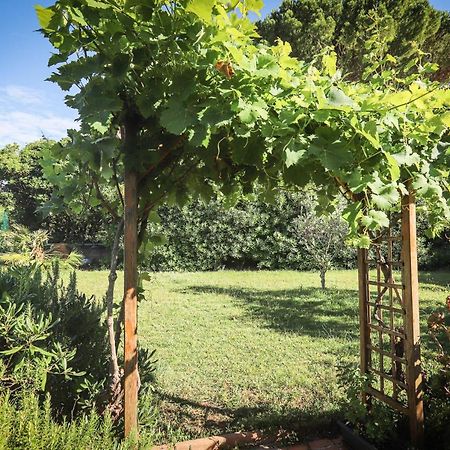 Orangeraie Du Cap D'Antibes 아파트 외부 사진